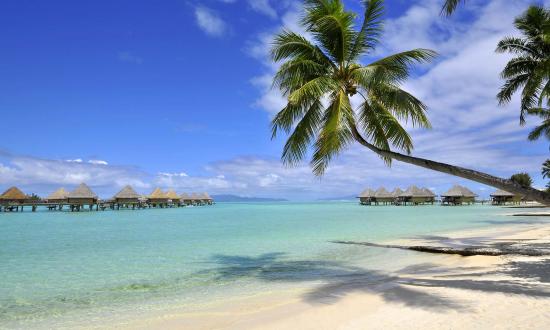 Tahiti Polynesia
